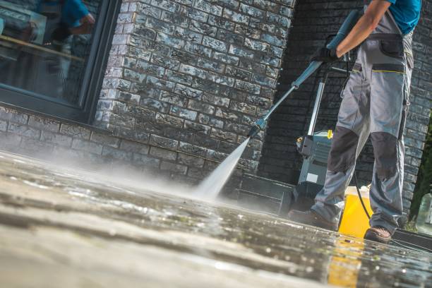Best Pre-Holiday Cleaning  in Alanuk, AK