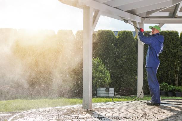 Best Dumpster Area Cleaning  in Alanuk, AK